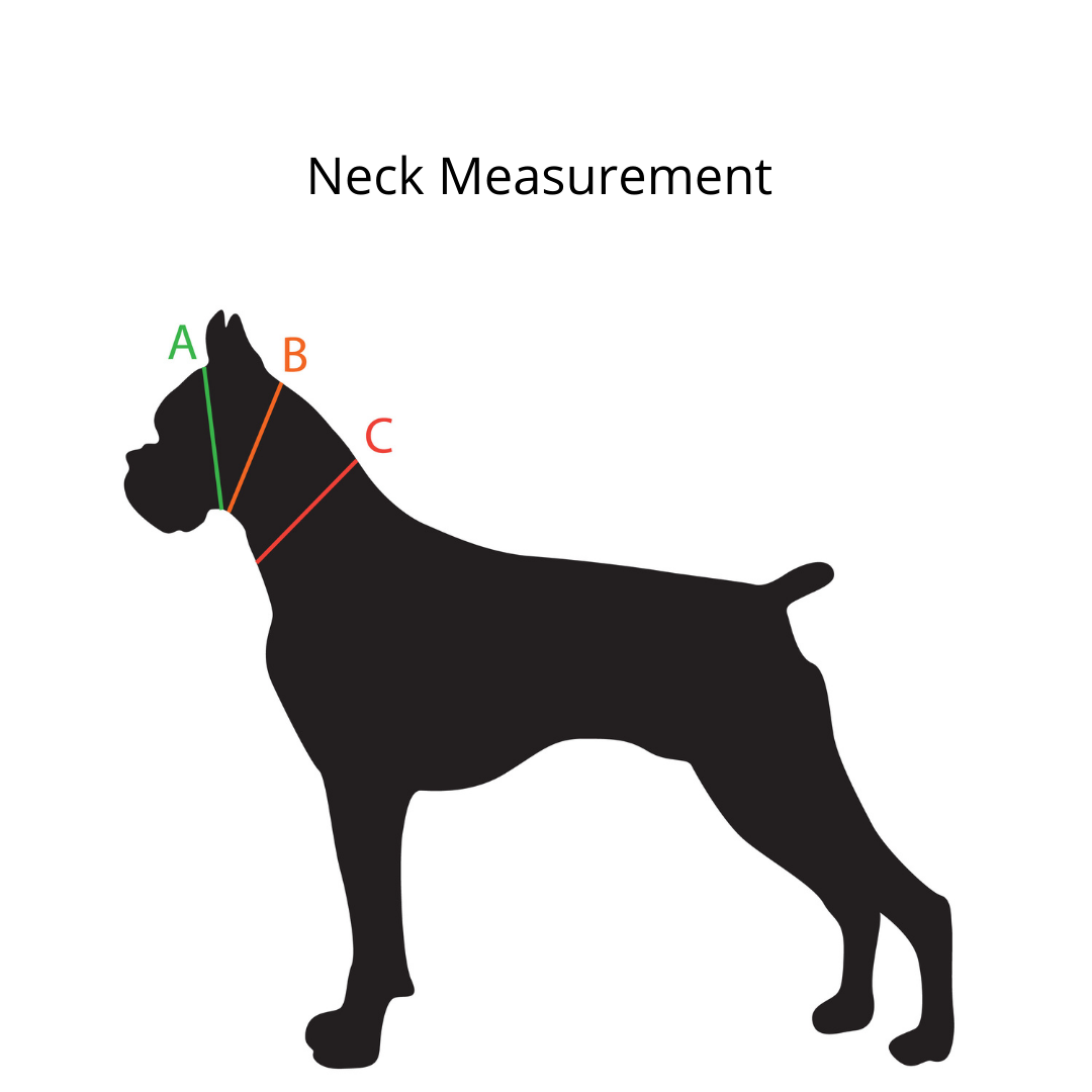 1/2" Two Tone Collar - 2024 GSPCA NSS BioThane Collar
